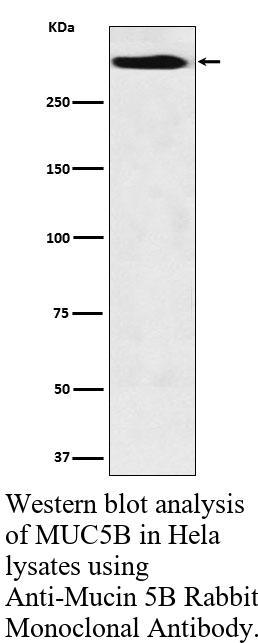 生物相关数据