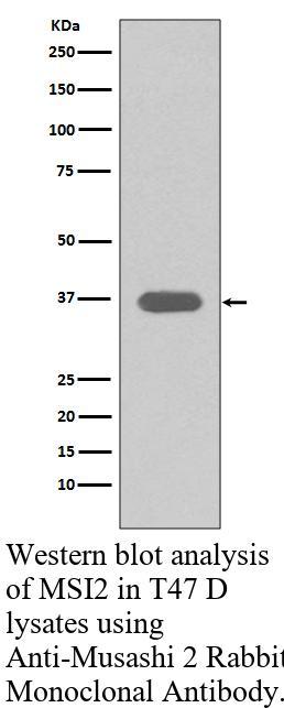 生物相关数据