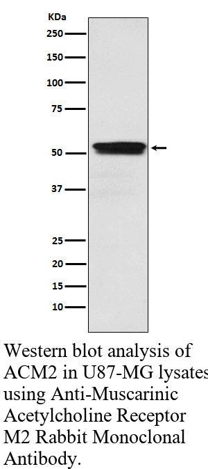 生物相关数据