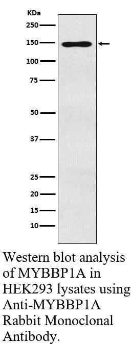 生物相关数据