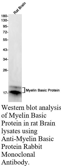 生物相关数据