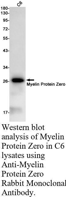 生物相关数据