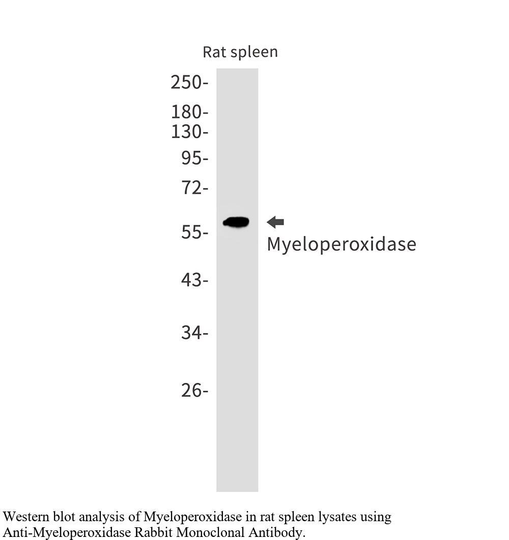 生物相关数据