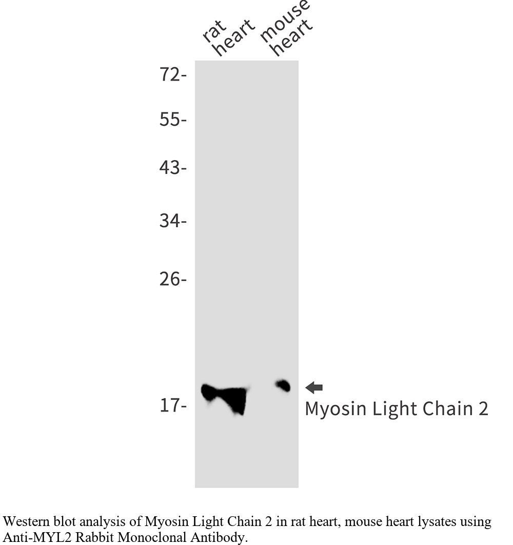 生物相关数据
