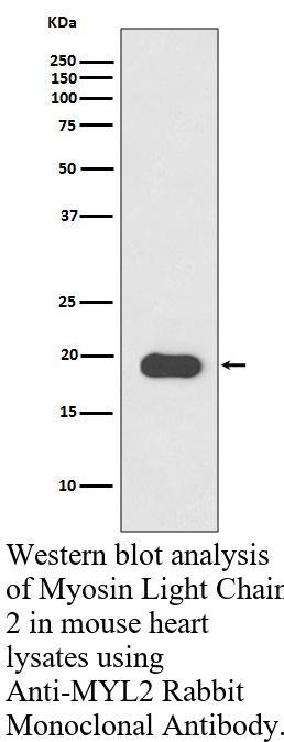 生物相关数据