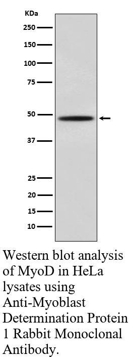 生物相关数据