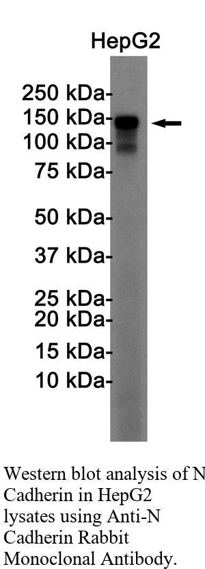 生物相关数据