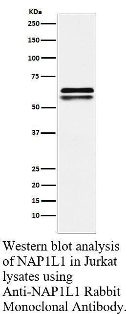 生物相关数据