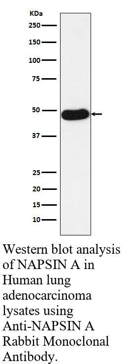 生物相关数据