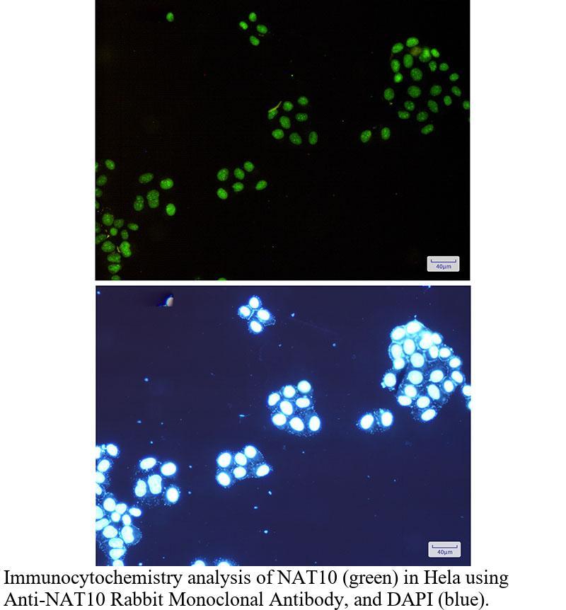 生物相关数据