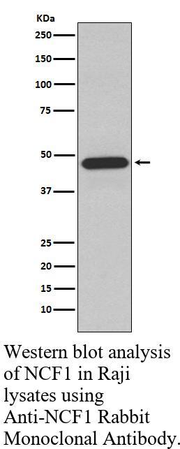 生物相关数据