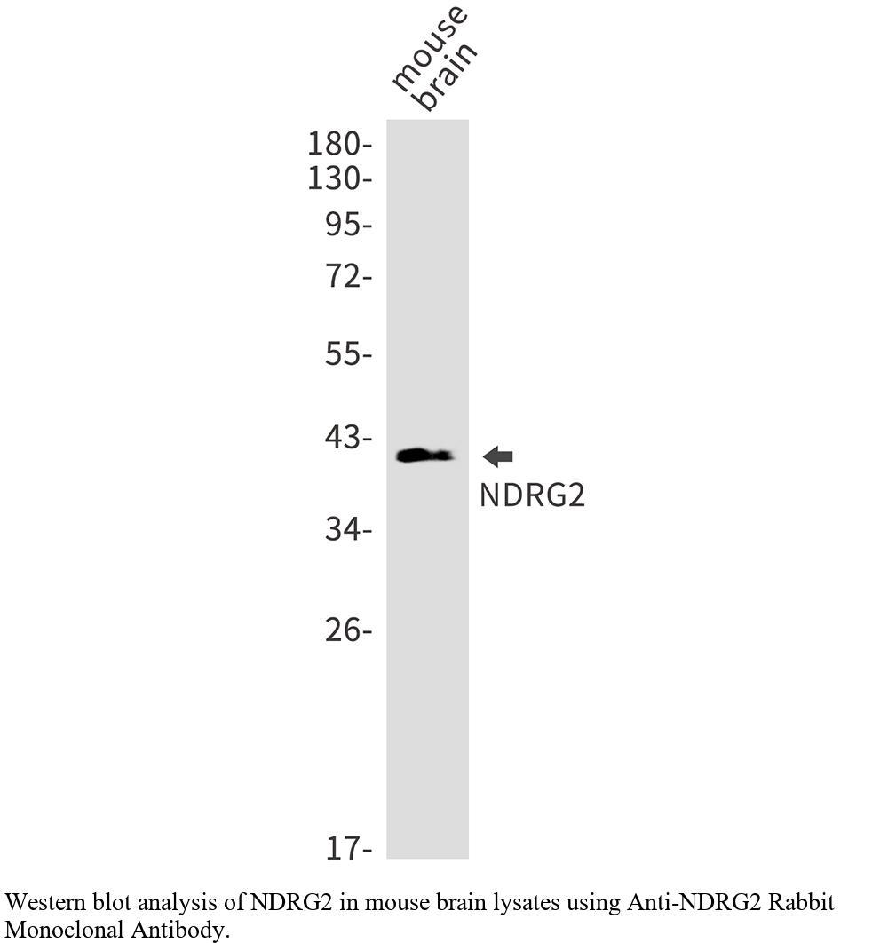 生物相关数据