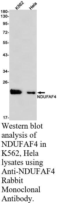 生物相关数据