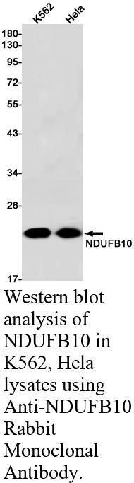 生物相关数据