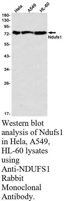 生物相关数据