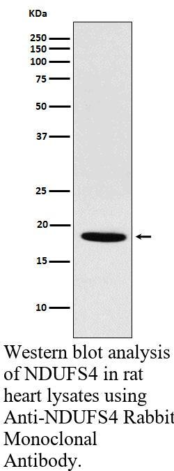 生物相关数据