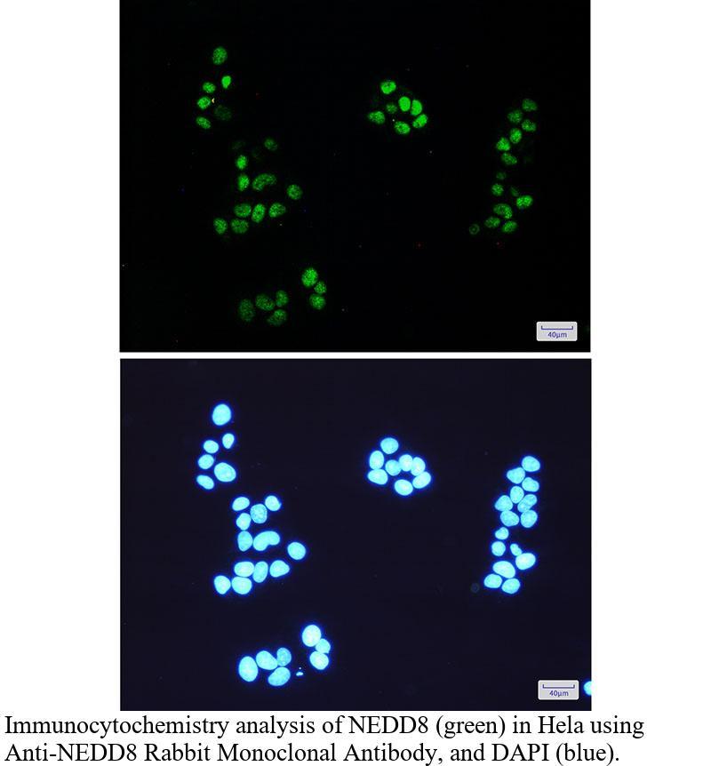 生物相关数据