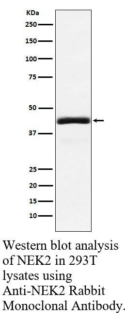 生物相关数据