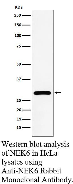 生物相关数据