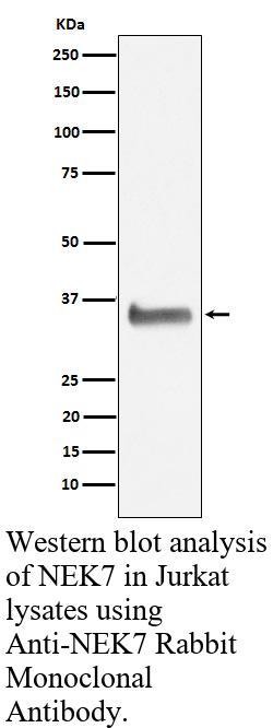 生物相关数据