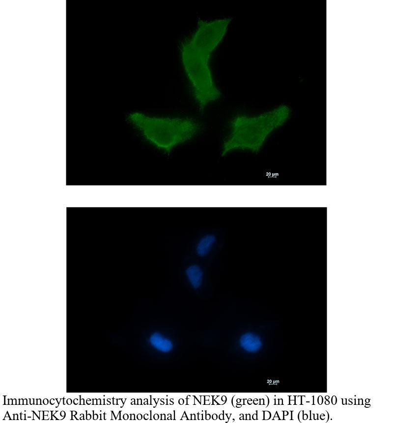 生物相关数据