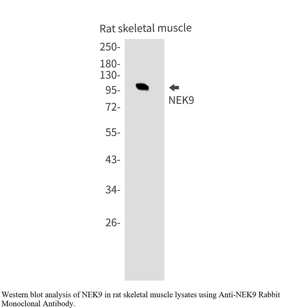 生物相关数据