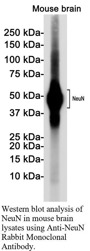 生物相关数据
