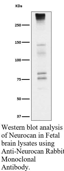 生物相关数据