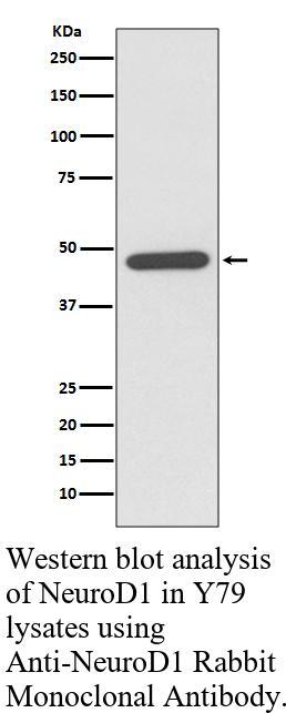 生物相关数据