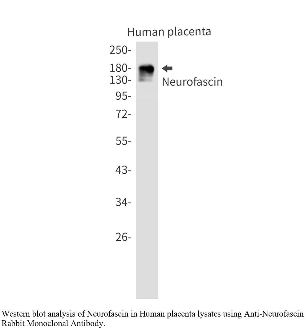 生物相关数据
