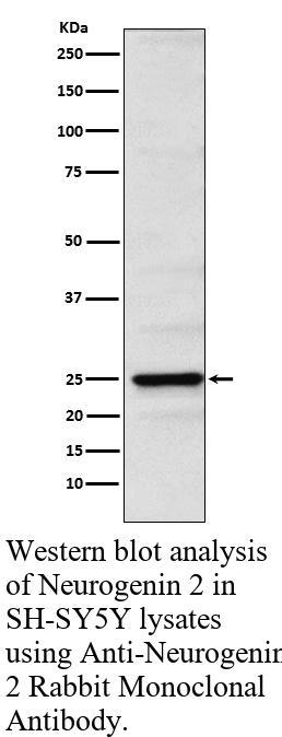 生物相关数据