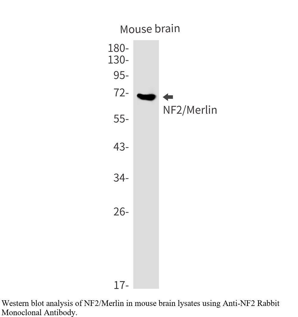 生物相关数据