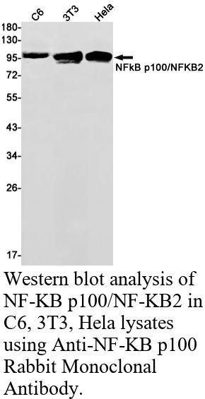 生物相关数据