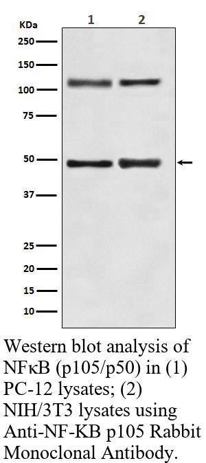 生物相关数据