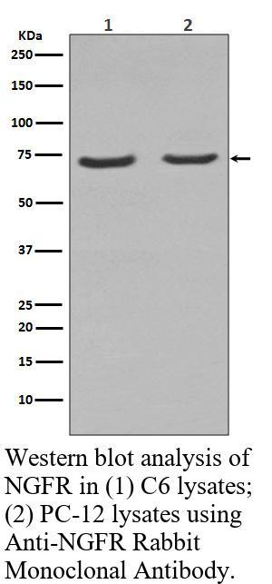 生物相关数据