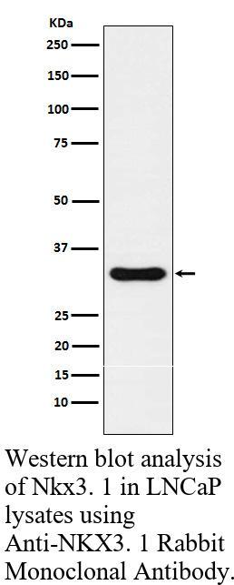 生物相关数据