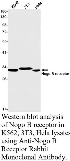 生物相关数据