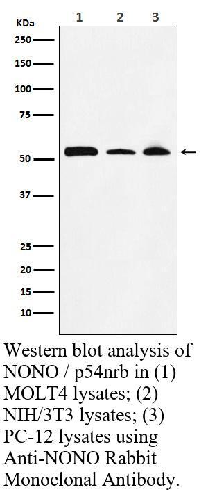生物相关数据