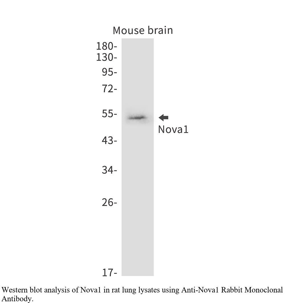 生物相关数据