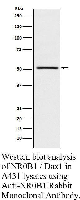 生物相关数据