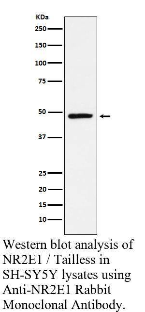 生物相关数据