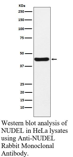 生物相关数据