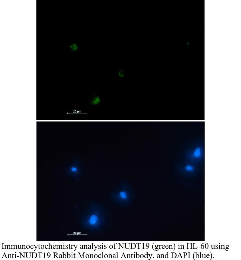 生物相关数据