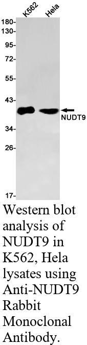 生物相关数据