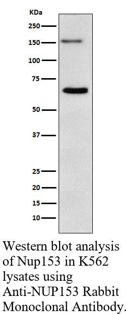 生物相关数据