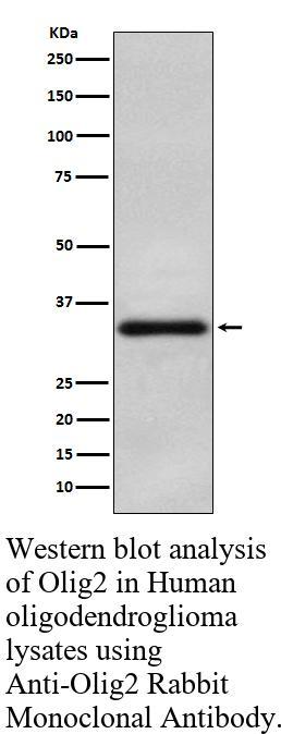 生物相关数据