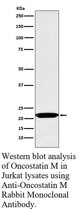生物相关数据