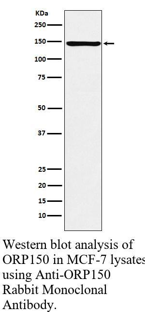 生物相关数据
