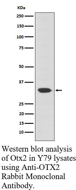 生物相关数据