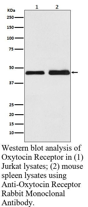 生物相关数据
